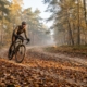 Radfahrer nimmt auf sandigem Waldweg im Grunewald vorsichtig eine mit nassem Laub bedeckte Kurve im Herbstnebel
